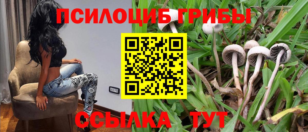 Псилоцибиновые грибы мицелий  Вход с VPN  Карпинск 